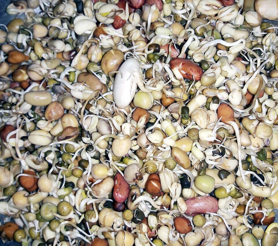 Kwati